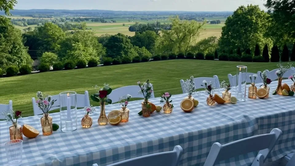 Long outdoor event table with white chairs, checked linens, flowers, and open countryside beyond
