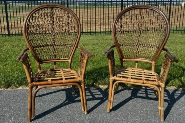 Wicker Chairs